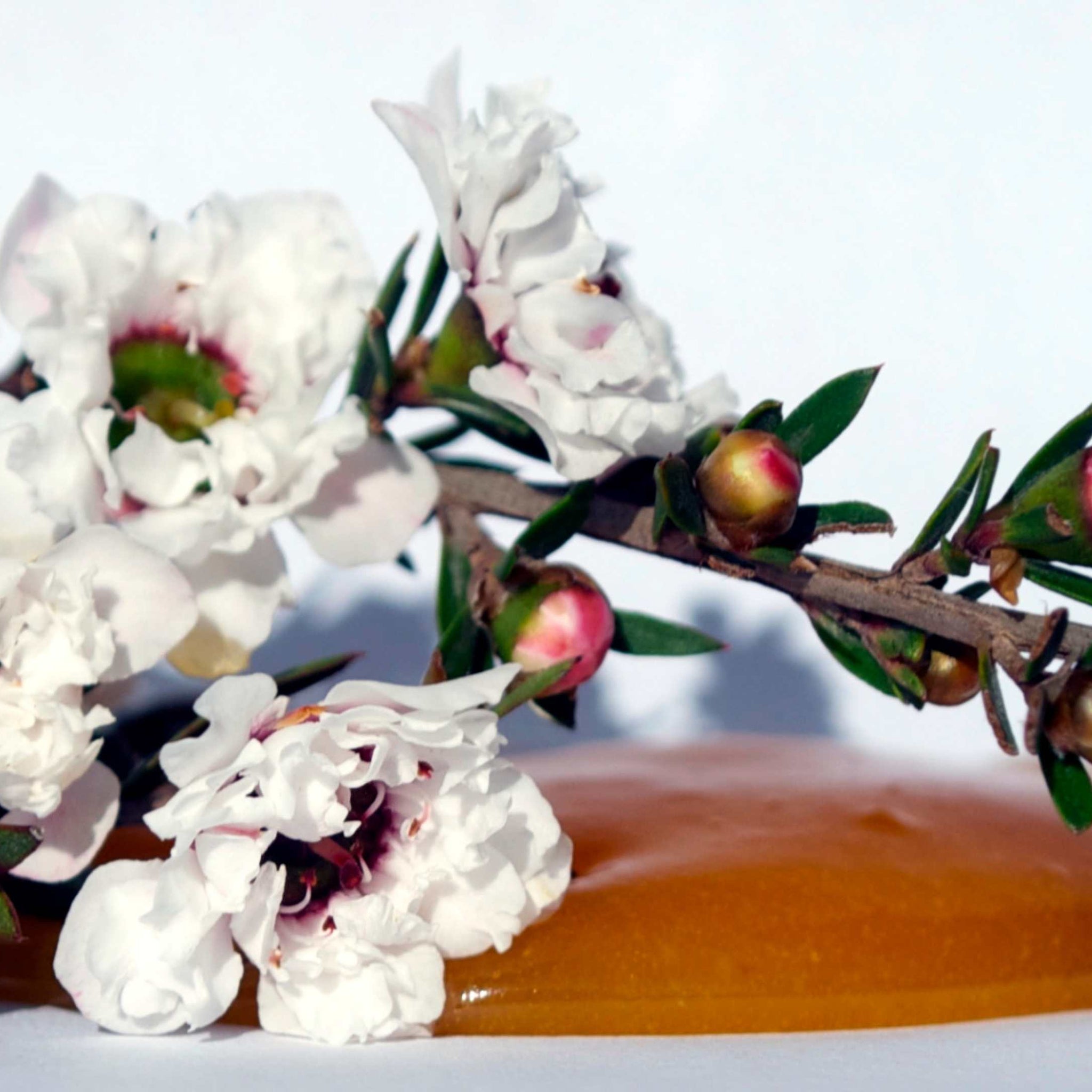 Manuka Honey